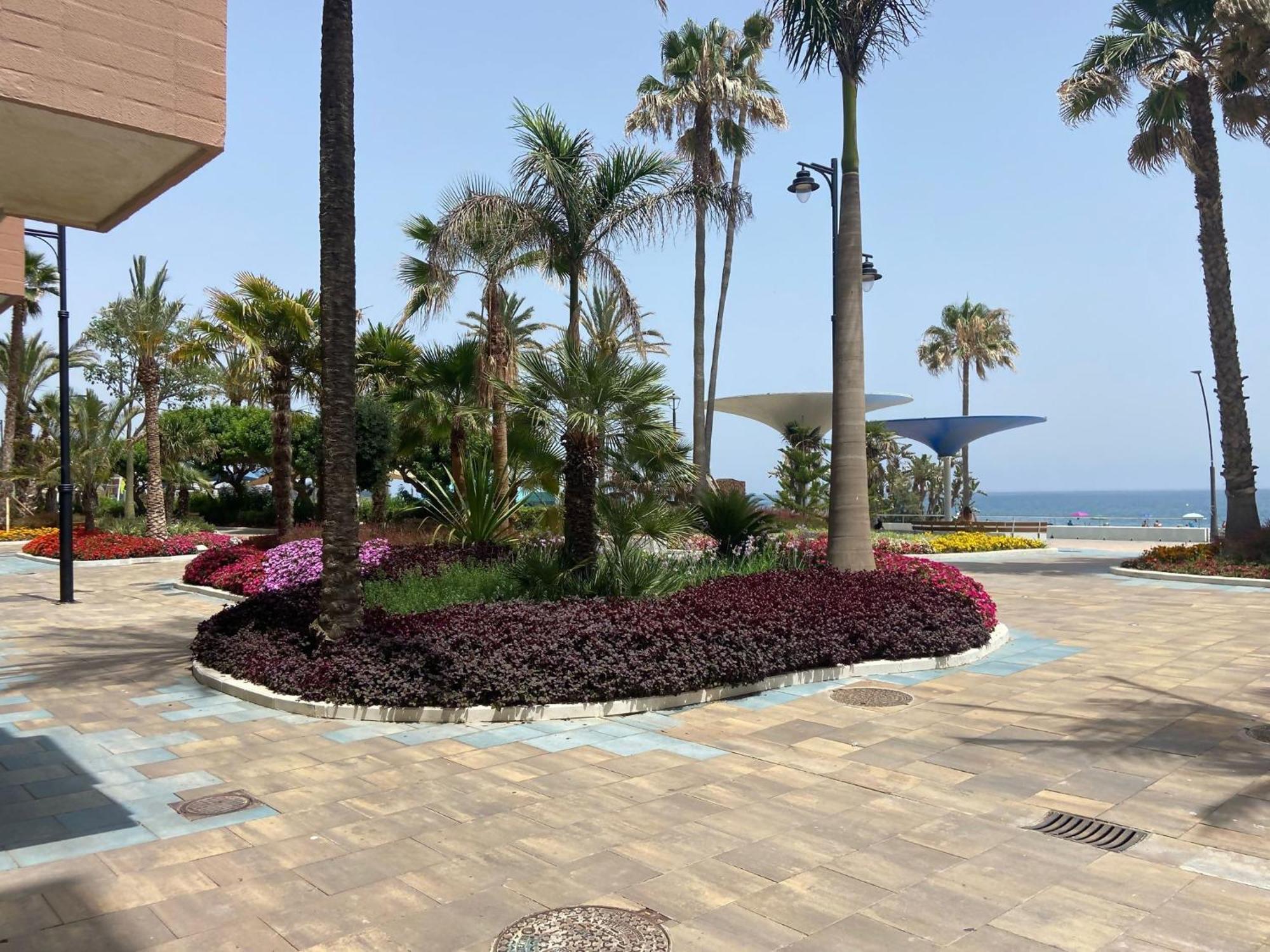 Victoria Home & Parking Estepona Buitenkant foto